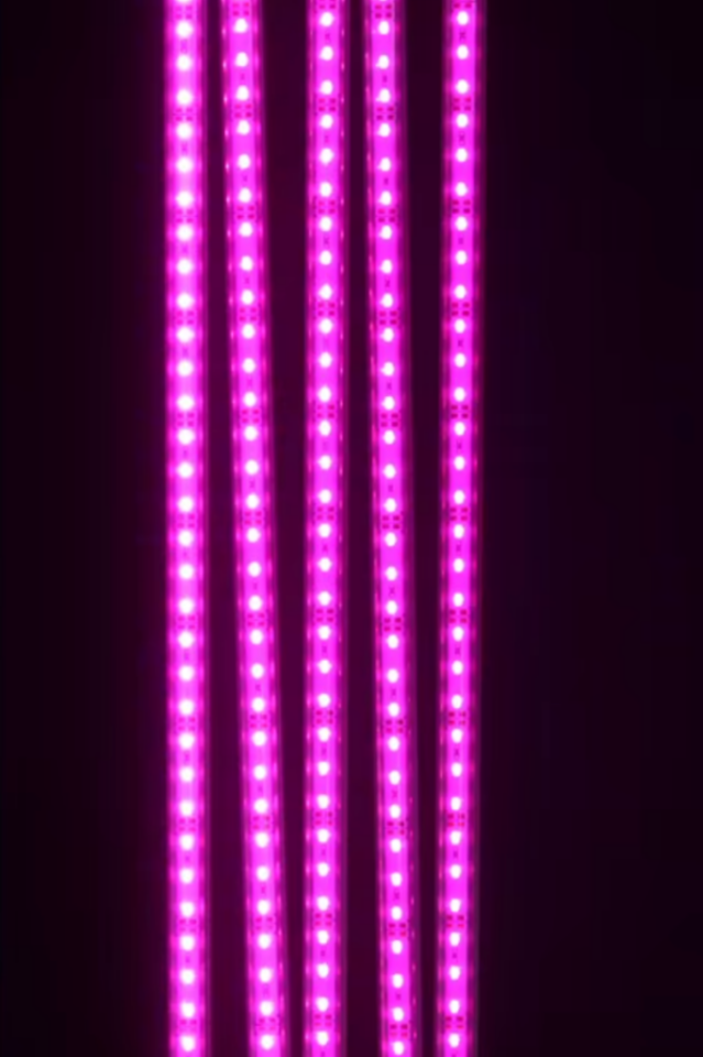 Grow Led 72 Ledli 12V 5630 Full Spectrum Bitki Yetiştirme Ledi