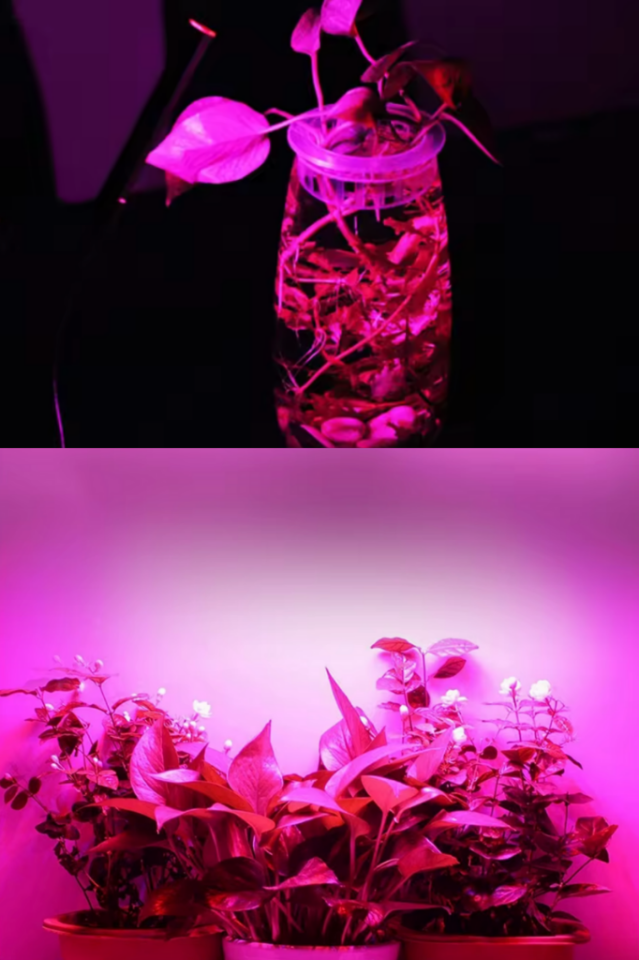 Grow Led 72 Ledli 12V 5630 Full Spectrum Bitki Yetiştirme Ledi