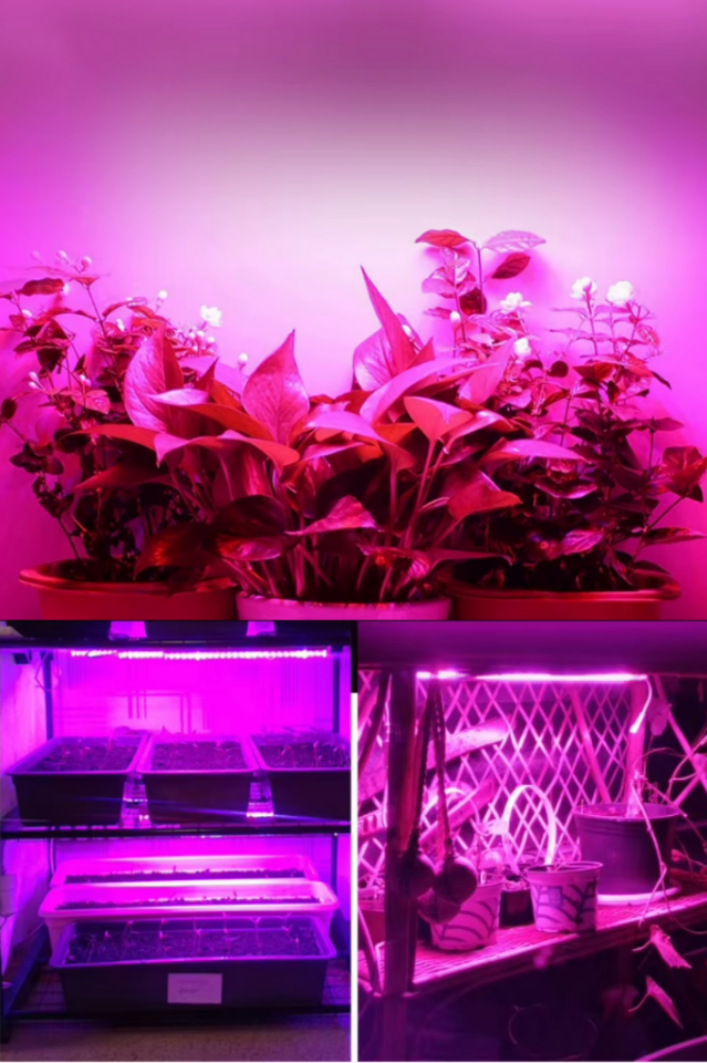 Alüminyum Kasalı Çubuk Bar Led 12V 72 Ledli 5730 Opak Cam Grow Led Full Spectrum Bitki Yetiştirme Ledi