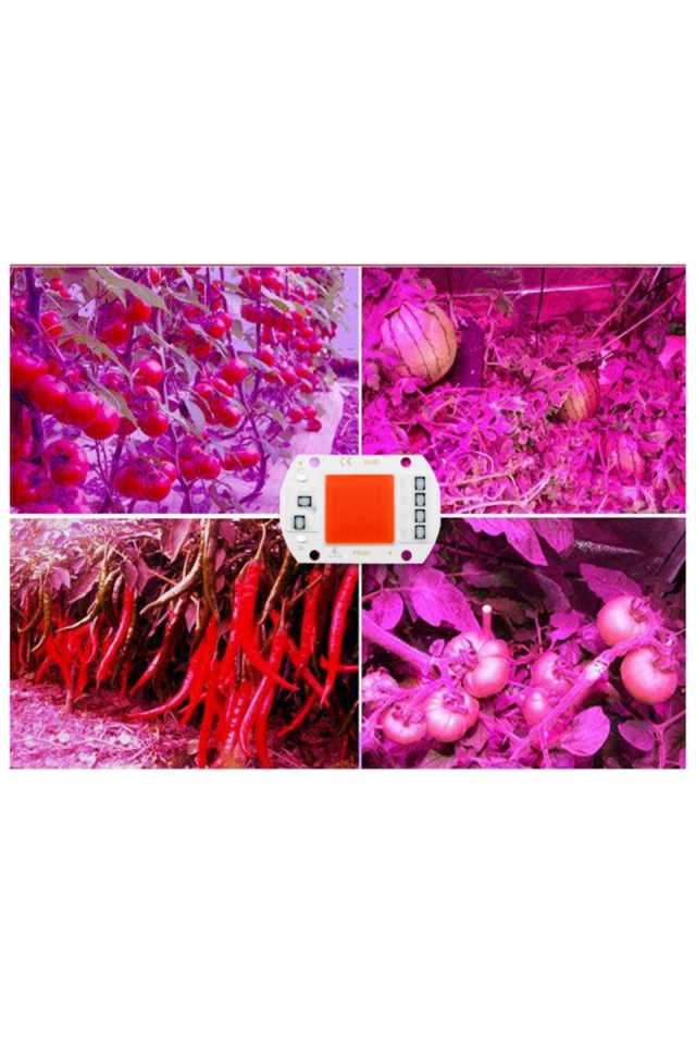 Grow Cob Led 220v 50w Full Spectrum Bitki Yetiştirme Ledi
